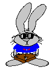 rabbit