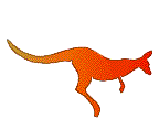 kangaroo.
