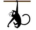monkey.