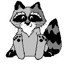 racoon.