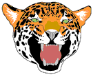 tiger.