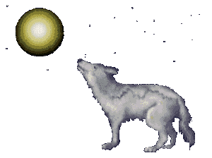 wolf.